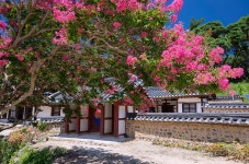 베스트갤러리 - 경주 종오정