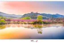 베스트갤러리 - 무릉 도화원