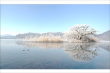 베스트갤러리 - 충주