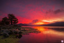 베스트갤러리 - 두물머리 불은여명