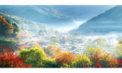 베스트갤러리 - 산속에 정원