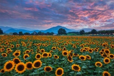 베스트갤러리 - 첨성대에서