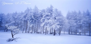 베스트갤러리 - 만항재