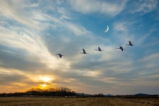 베스트갤러리 - 철원~