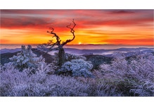 베스트갤러리 - 태백산 아침