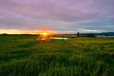 베스트갤러리 - 안성목장