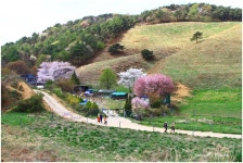 베스트갤러리 - 목장길 따라