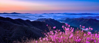 베스트갤러리 - 아름다운 강산.