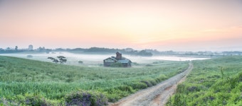 베스트갤러리 - 안성목장