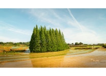 베스트갤러리 - 어느날 오후