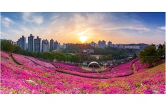 베스트갤러리 - 군포 철쭉동산