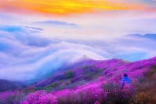 영취산슈퍼 식당 | 베스트갤러리 - 영취산에 올라