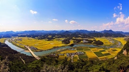 베스트갤러리 - 황금 들녁