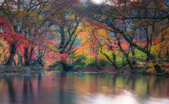 베스트갤러리 - 지각