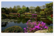 베스트갤러리 - 아름다운 봄