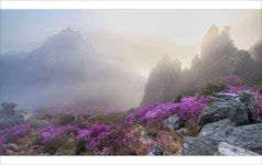 베스트갤러리 - 덕룡산