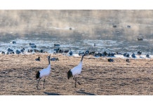 베스트갤러리 - 물안개