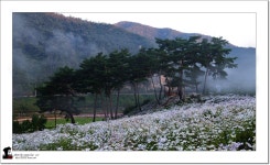 베스트갤러리 - 구철초