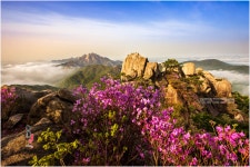 베스트갤러리 - 도봉산_2024년 4월