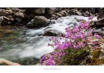 베스트갤러리 - 뱀사골에서