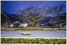 베스트갤러리 - 내소사 새벽_2025