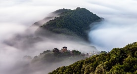 베스트갤러리 - 붕어섬 전망대