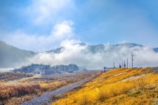 베스트갤러리 - 황강