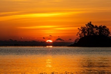 베스트갤러리 - 남해솔섬