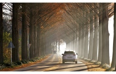 베스트갤러리 - 순창 메타스길