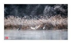 베스트갤러리 - 합천 황강 식구들...