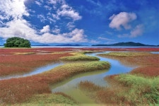 베스트갤러리 - 황산도2...