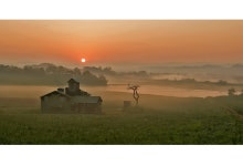 베스트갤러리 - 목장 일출