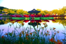 베스트갤러리 - 궁남지