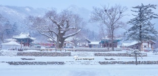 베스트갤러리 - 내소사