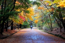 베스트갤러리 - 석굴암 가는 길