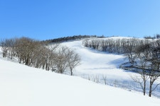 베스트갤러리 - 대관령