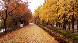 베스트갤러리 - 송정제방산책길