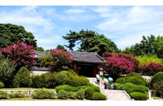 베스트갤러리 - 오죽헌