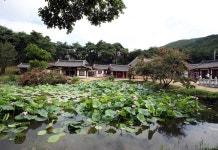 베스트갤러리 - 경주 종오정
