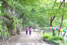 베스트갤러리 - 산사가는길