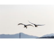 베스트갤러리 - 창공을 날다..