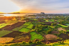 베스트갤러리 - 성산포