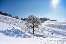 베스트갤러리 - 대관령