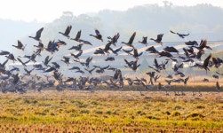 베스트갤러리 - 빨강장화