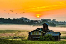 베스트갤러리 - 안성목장일출....