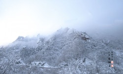 베스트갤러리 - 한계령~~~