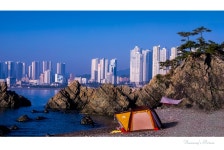 베스트갤러리 - 바닷가의 추억