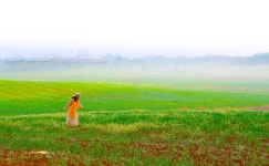 베스트갤러리 - 저 푸른 초원위에.