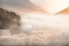 베스트갤러리 - 꿈속의 정원