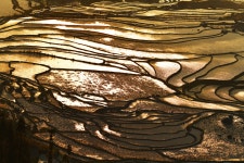 베스트갤러리 - 중국 운남성 원양제전